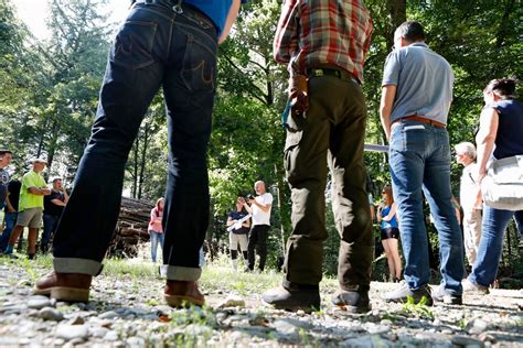 mägenwiler wald|Rund um das «Mägenwiler Wäldli»...